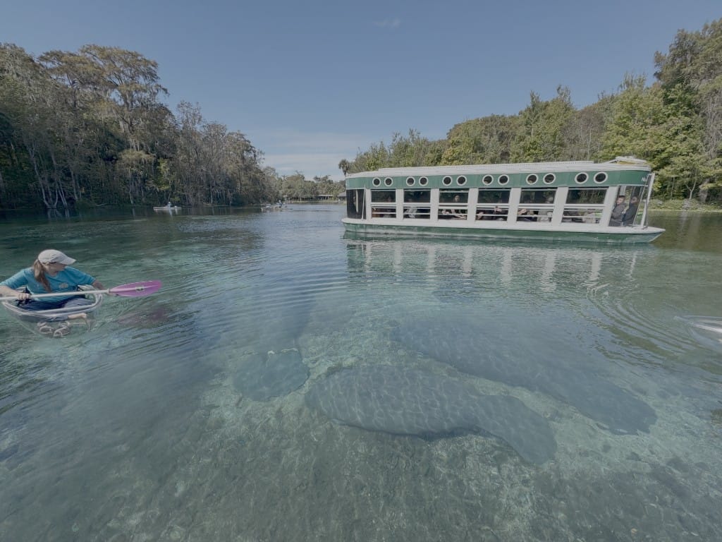 A clear kayak beside a glass-bottom boat, with a manatee visible in the spring