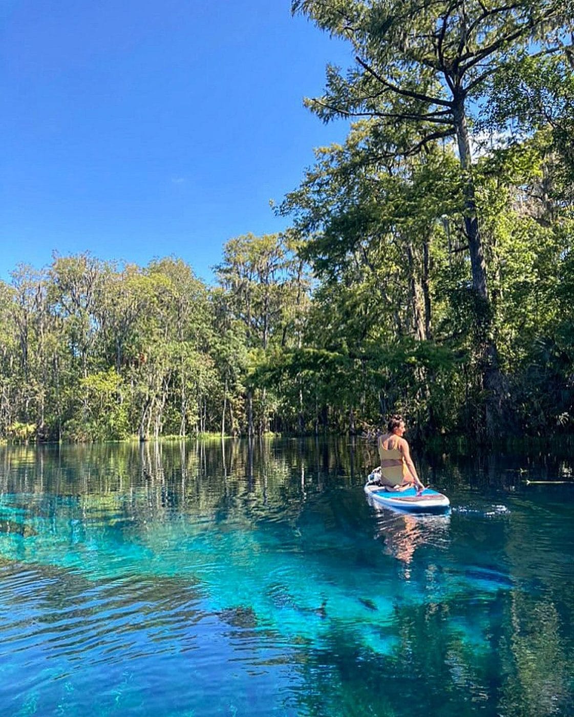 A guest on a paddleboard over clear turquoise water beneath cypress and Spanish moss