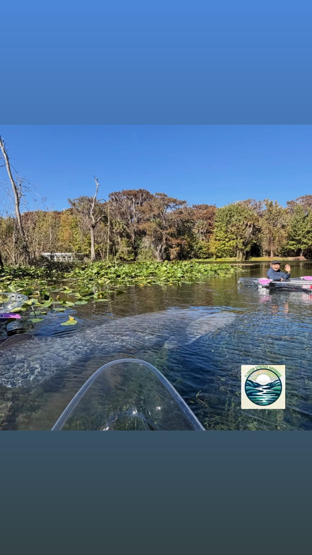 A clear kayak paddling through Silver Springs
