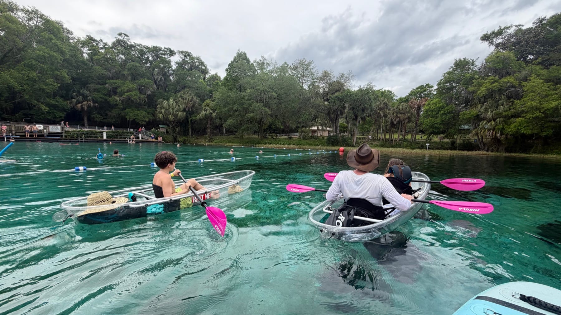 Guests launching clear kayaks on a bright Florida spring